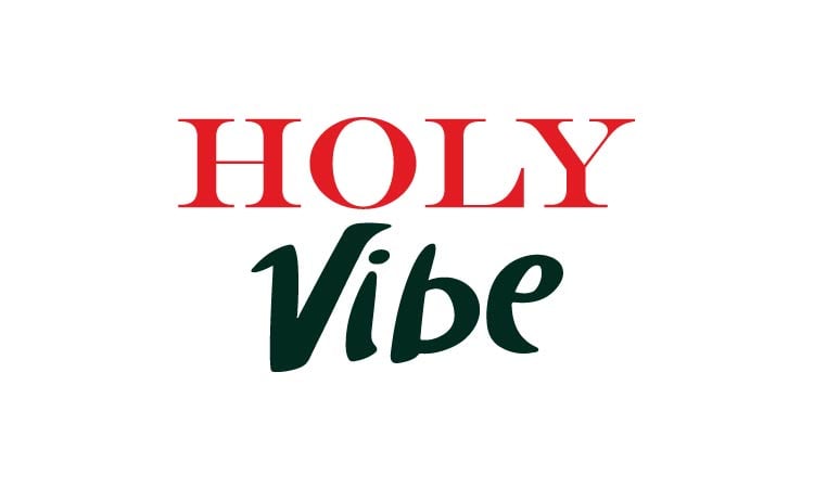 HolyVibe logo